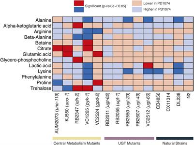 An anchored experimental design and meta-analysis approach to address batch effects in large-scale metabolomics